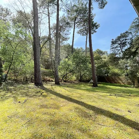 Ref 147 Golf , Classee 3 Etoiles Avec Wifi , 10 Personnes, Jardin Boise, A 5kms Des Plages Villa Seignosse